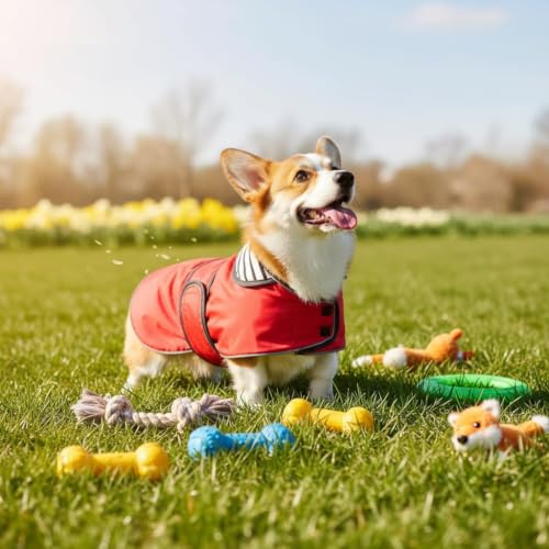 Dog Raincoat Corgi rain Coat pet Waterproof Jacket fit for Corgi Weiner Wide Body Long Back Breeds with Reflective Stripe Great Coverage red XS (X-Small / Red)