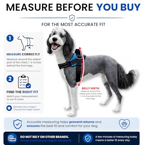 Essential Dog Harness (Electric Blue / XS)