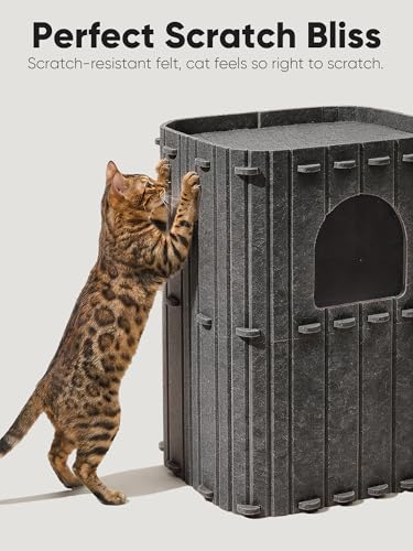 Cat House for Indoor Cats