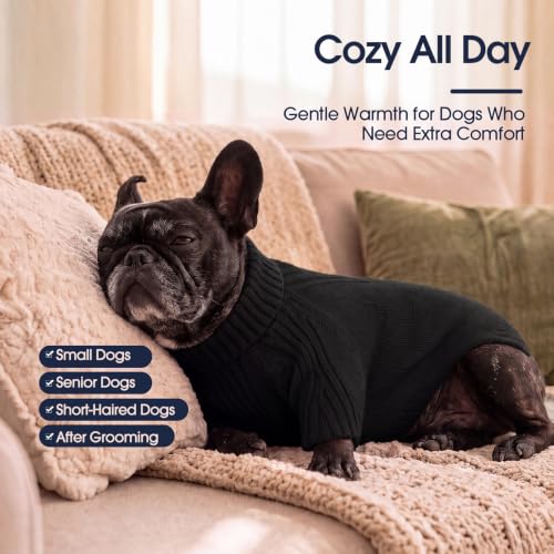 Great Dane Sweater (Black / XXXX-Large)