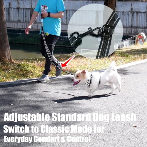 Two Point Control & Hands Free Dog Leash No Pull Black Large Dogs (Black / 5.3FT)