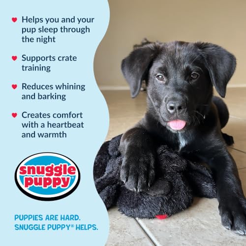 Heartbeat Dog Toy for Puppies (Black / 1 Count (Pack of 1))