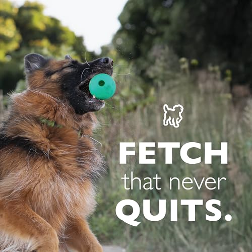Fetch Balls Extremely Durable Natural Rubber Toy 4 inch (2-Pack (4" Balls))