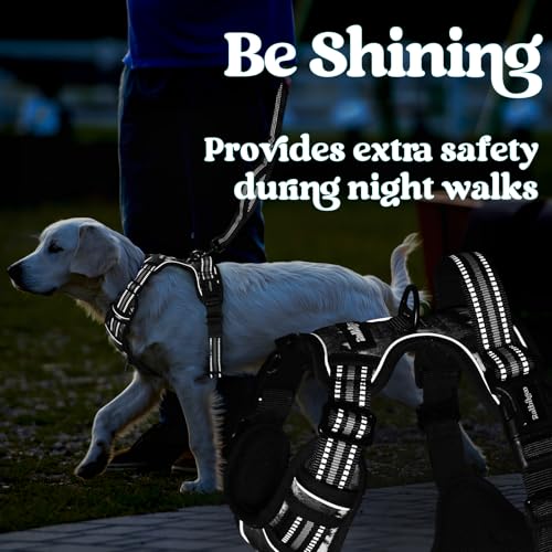 Dog Harness for Large (Large / Mountain Black)