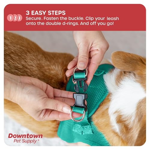 Step in Dog Harness for Teacup Dogs & Cats No Pull (XX-Small / Bermuda Blue)