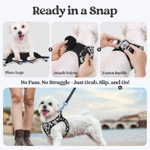 Dog Harness Medium Sized and Leash Set (Midnight Daisy / L (chest: 18.2 - 20.5"))