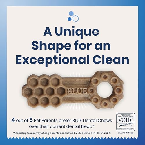 Large Dental Chews Bundle (1.38 Pound (Pack of 4))