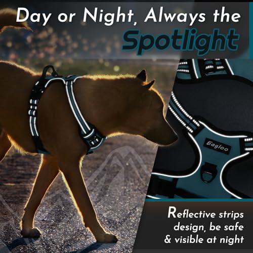Dog Harness for Large Dogs (X-large / Dark Green)