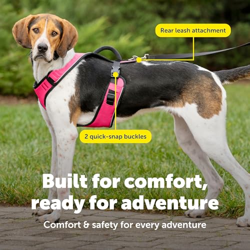 EasySport Dog Harness (Large / Pink)