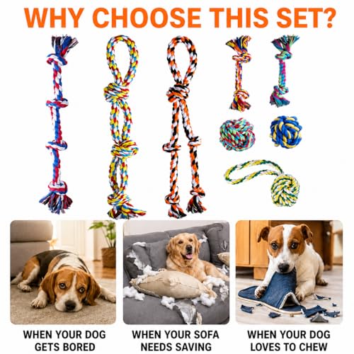 Large Dog Toys for Aggressive Chewers (8 Pack-Large)