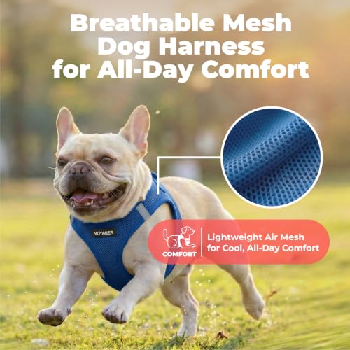 Voyager Step in Air Dog Vest Harness (Royal Blue / M (Chest: 16 - 18"))