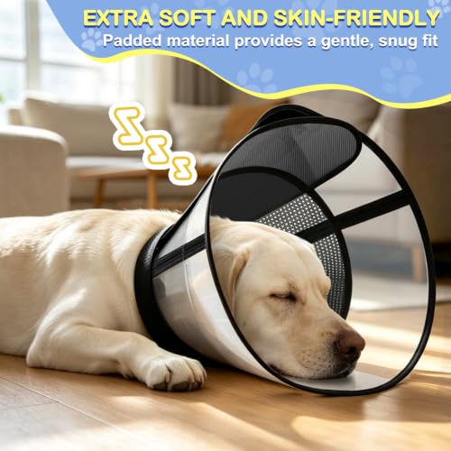 Dog Cone to Stop Licking (XL (Neck: 18.5-21.1") / Black)
