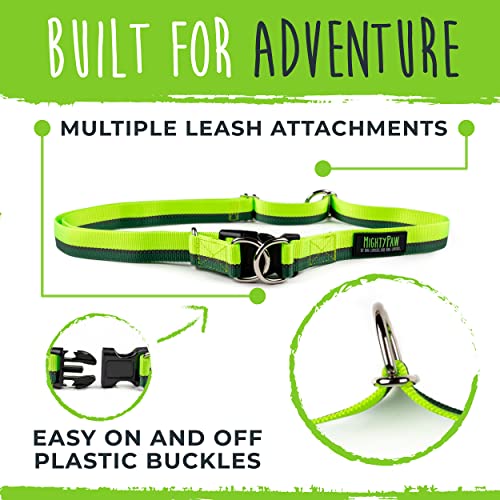 Hands Free Dog Leash (48" / Green)