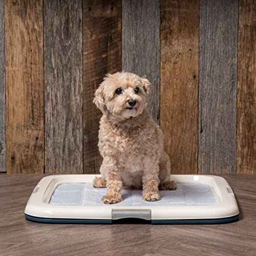 Pee Pad Holder (Navy / 22" x 22")