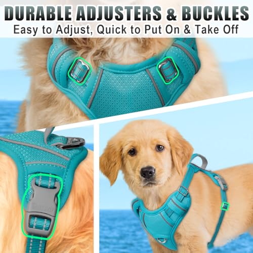 Dog Harness for Small Sized Dog No Pull Dog Vest ID Tag Pocket (Ocean Blue / X-Small)