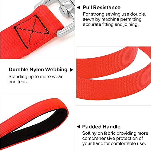 LED Light Up Dog Leash (Red / 4FT)