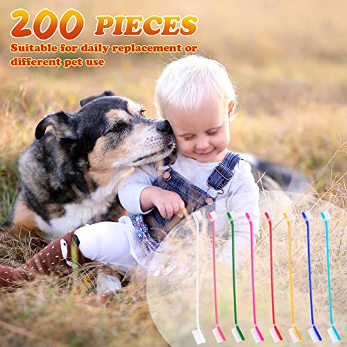 200 Pcs Dog Toothbrush