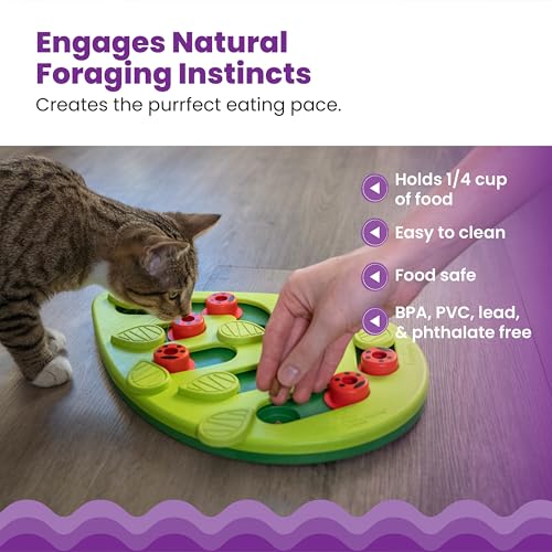 Nina Ottosson Buggin’ Out Puzzle & Play Cat Toy Treat Puzzle (Buggin Out / Treat Puzzle)