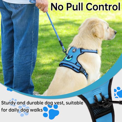 Dog Harness for Small Sized Dog (Blue / Small)