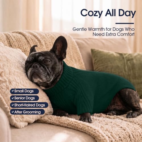 Small Dog Sweater (Green / Large)