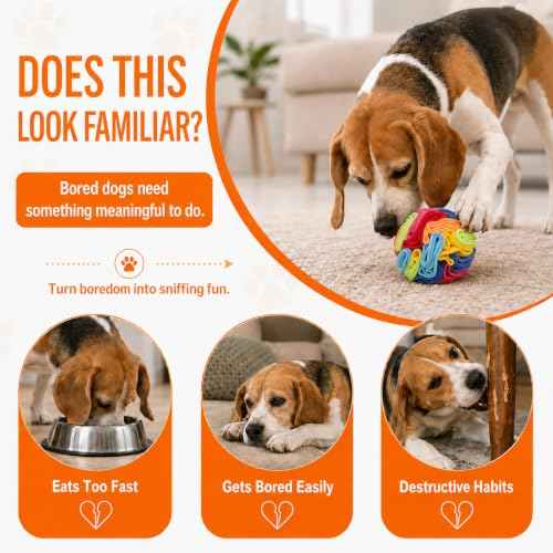 Snuffle Ball Snuffle Ball for Small Dogs (Rainbow-colored / Medium)