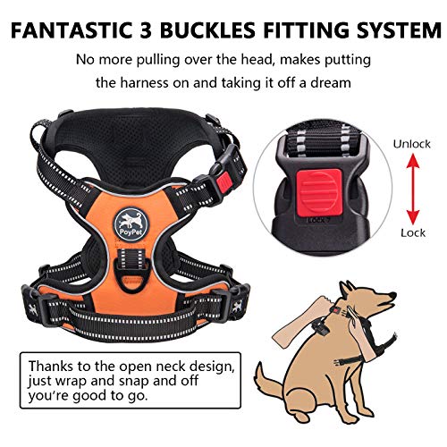 No Pull Dog Harness Small with Front Clip & Neck Release Buckle (S / Orange)