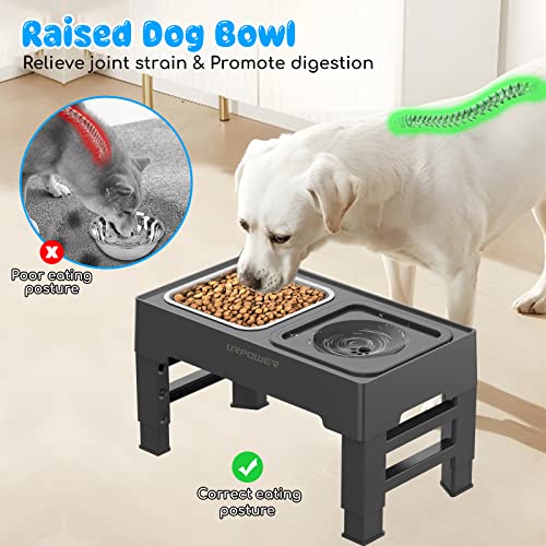 2-in-1 Elevated Dog Bowls 4 Height Adjustable Raised Dog Bowls (Black / No Spill Water Bowl)