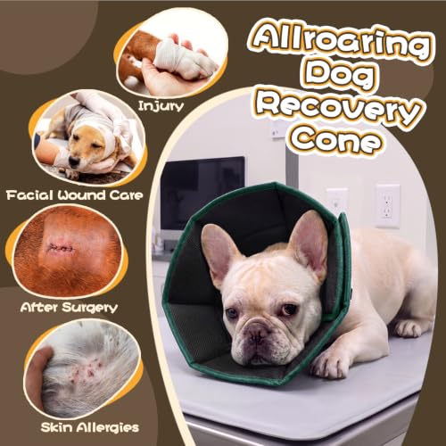 Adjustable Dog Cone for Spay (Green / XL(Neck Girth:16.54"-21.65"))