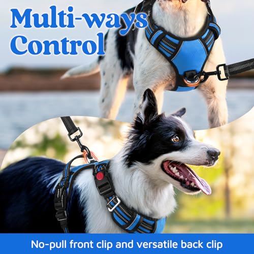 Dog Harness Medium Sized (Blue / Medium)