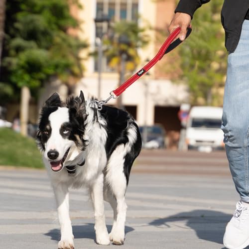 Reflective Short Dog Leashes 3 Pack for Walking and Training (Red / 1FT+1.5FT+2.5FT)