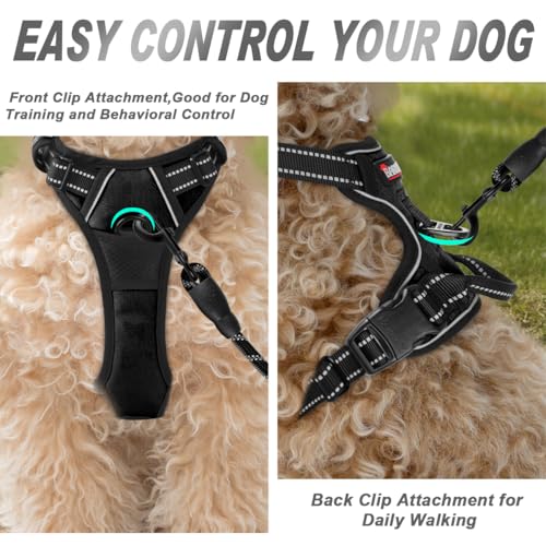 Dog Harness No Pull for Small Sized Dog Front Back Clips (X-Small(Chest:15.5-19.5”) / Black)