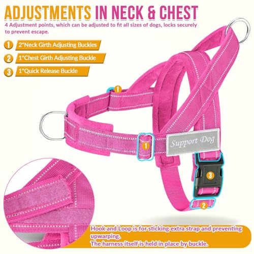No Pull Dog Harness and Leash Set (Fuchsia / Medium)