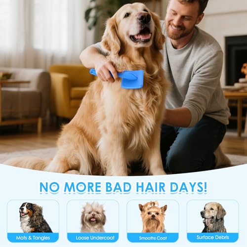 Large 3 in 1 Dog Grooming Kit (Blue)