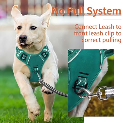 Dog Harness for Large Dogs No Pull Dog Vest Harness for Large Dog with Soft Padded Handle Reflective for Outdoor Training (XL / Grass Green)