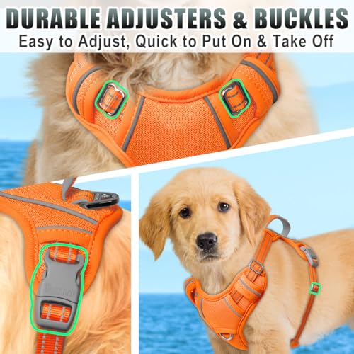 Dog Harness for Small Sized Dog No Pull Dog Vest ID Tag Pocket (Orange / X-Small)