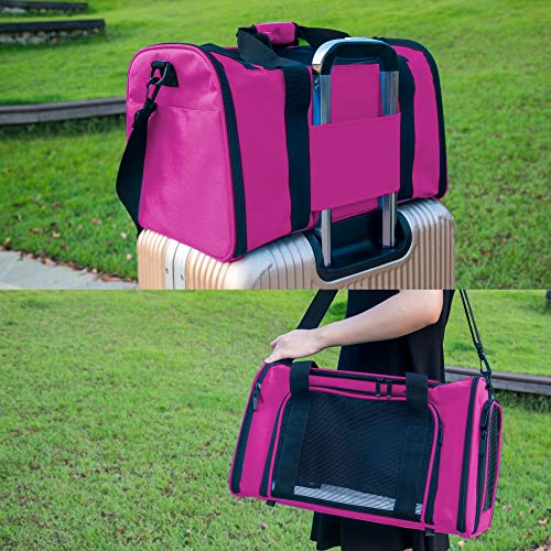 Soft Sided Carrier for Small Medium Cats Dogs (20.0"L x 13.0"W x 13.0"H / Magenta)