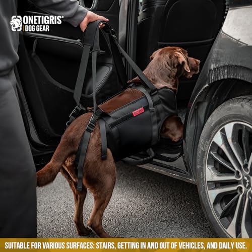 Full Body Dog Carry Sling for Large Dogs (Black / M)