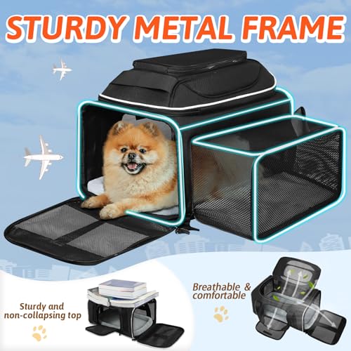 Top and Side Expandable Small Pet Carrier Airline Approved (Black / 18.0"L x 11.0"W x 11.0"H)