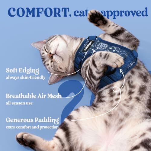 Cat Harness and Leash Set (S / Cosmic Ace)