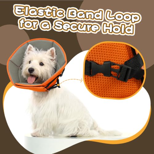 Adjustable Dog Cone for Spay (Orange / XL(Neck Girth:16.54"-21.65"))