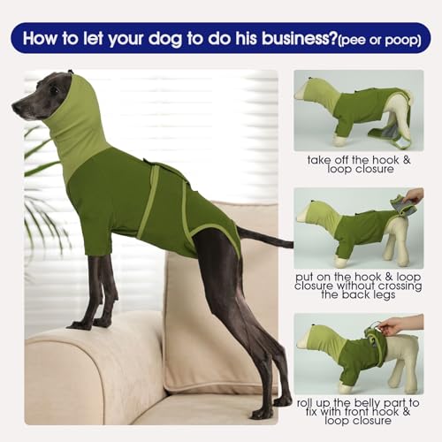 Dog Surgery Suit Female Spay (X-Small / New Version- Green)