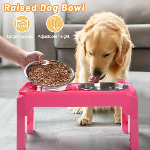 Elevated Dog Bowls with 2 Stainless Steel Food & Water Raised Bowls with No Spill Edge Non (M (8" for M/L Dogs) / Pink)