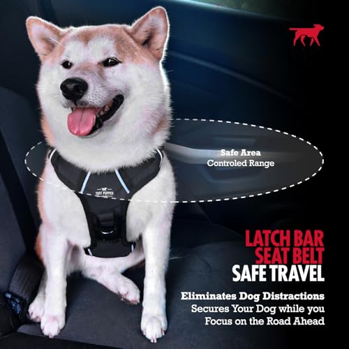 Dog Car Safety Belt (Black)