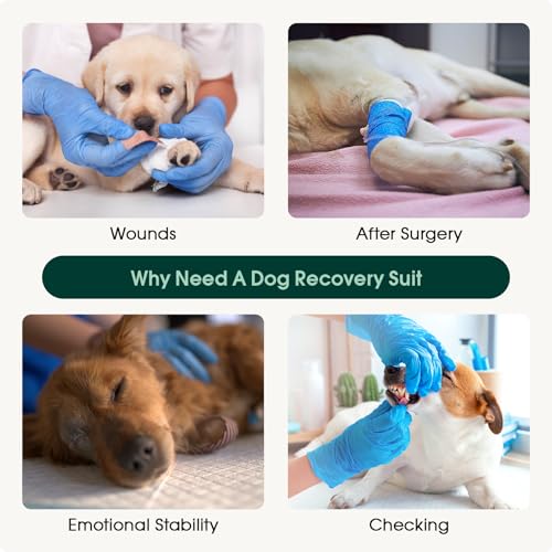 Dog Recovery Suit (Cooling Pink / X-Small)