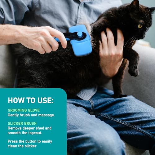Pet Grooming Brush (C1 - Brush & Gloves / Large)