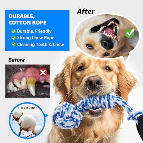 Outdoor Bungee Tug Toy (Blue+Orange)
