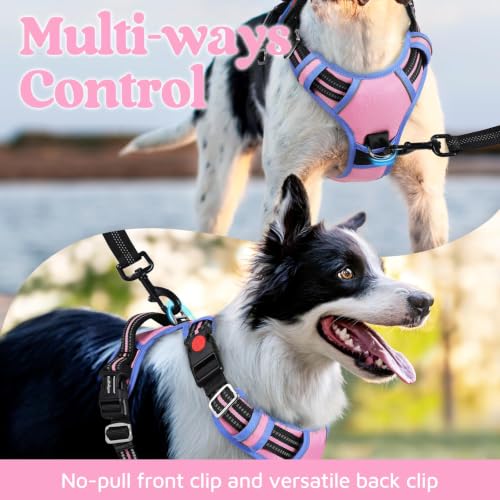 Dog Harness for Large (Light Pink & Blue / X-Large)