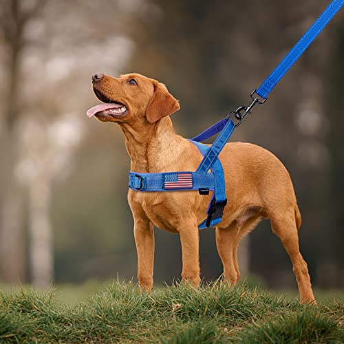 No Pull Dog Harness with Soft Padded Handle (XL / Blue)