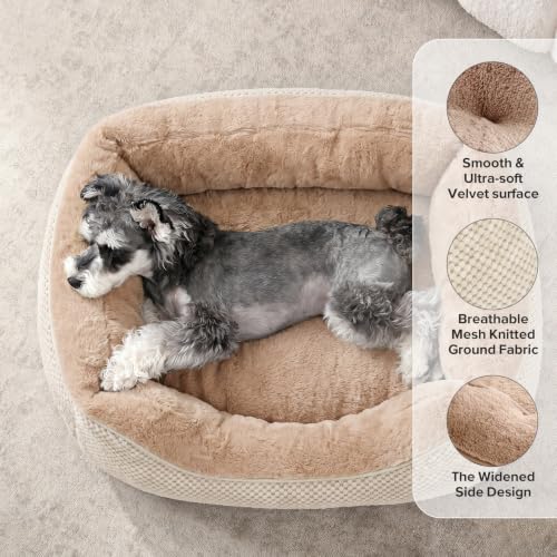 XL Dog Beds Large Sized Dog (XL (42"x30"x8") / Beige)