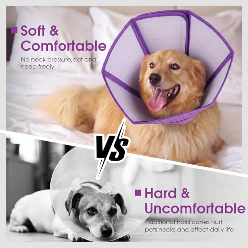 Dog Recovery Cone Waterproof Plastic Elizabethan Cone Purple XL (Purple / X-Large)